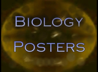 Bob Crawford - Biology Video