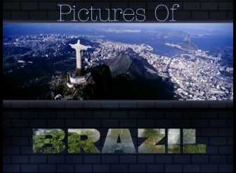 Bob Crawford - Brazil Video