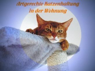 Artgerechte Katzenhaltung in der Wohnung