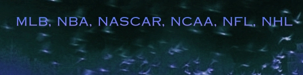 NASCAR Bears